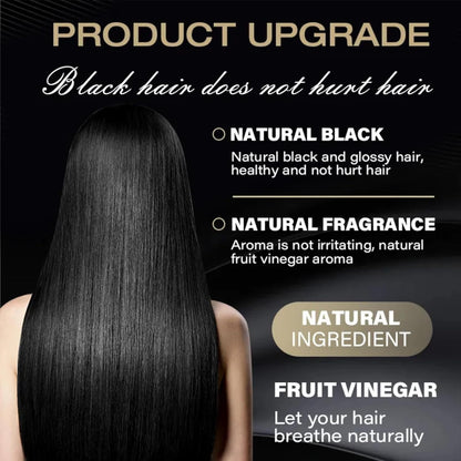 Fruit Vinegar Gel Hair Color For Men & Women, Hair Color Dye for Black Hair (Black, 200ml)