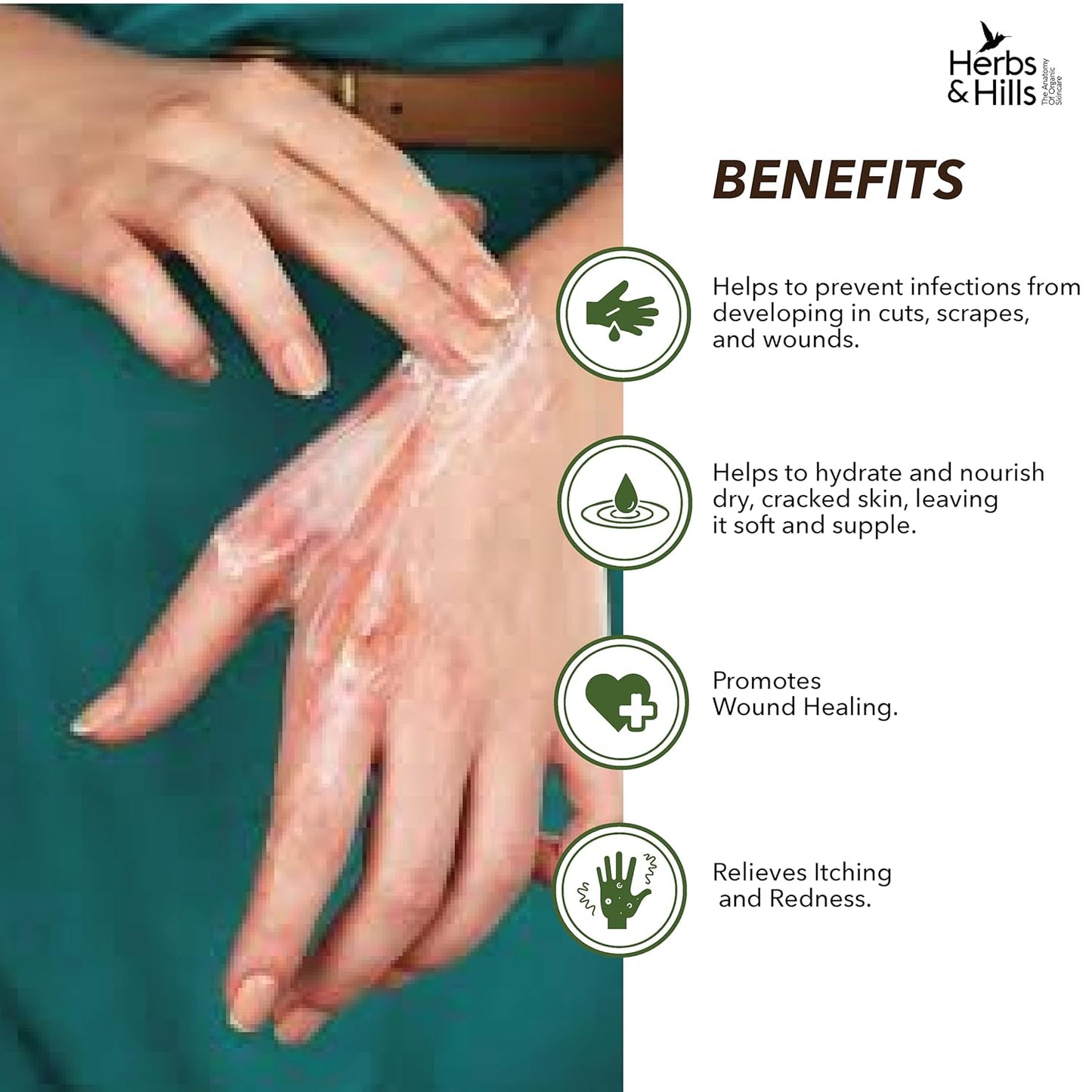 Herbs & Hills Anti-Septic Cream, Herbal Antiseptic Ointment with Tea Tree Oil, Turmeric, Neem & Aloe Vera, Heals Cuts, Scratches, Burns & Skin Irritations, 100gms