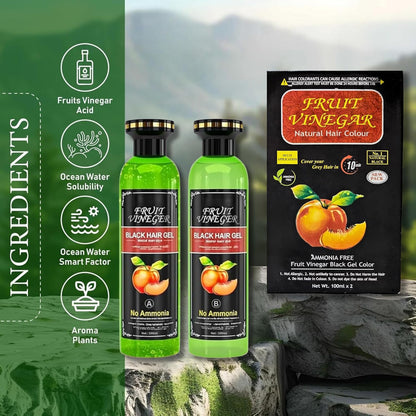 Fruit Vinegar Gel Hair Color For Men & Women, Hair Color Dye for Black Hair (Black, 200ml)