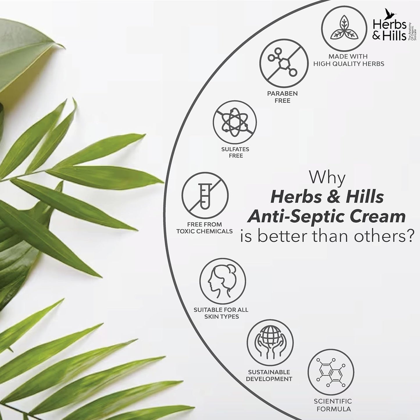 Herbs & Hills Anti-Septic Cream, Herbal Antiseptic Ointment with Tea Tree Oil, Turmeric, Neem & Aloe Vera, Heals Cuts, Scratches, Burns & Skin Irritations, 100gms